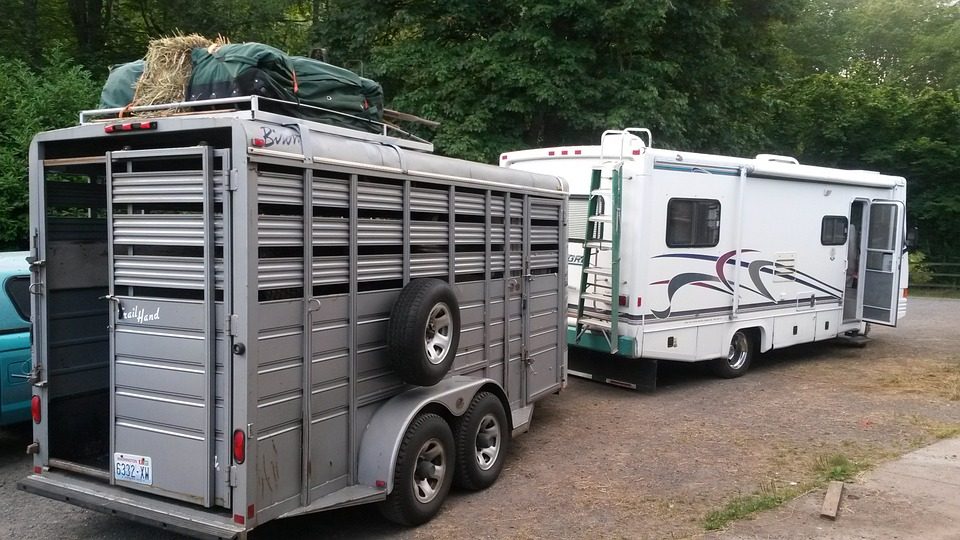 Best Horse Trailers for Long Trips